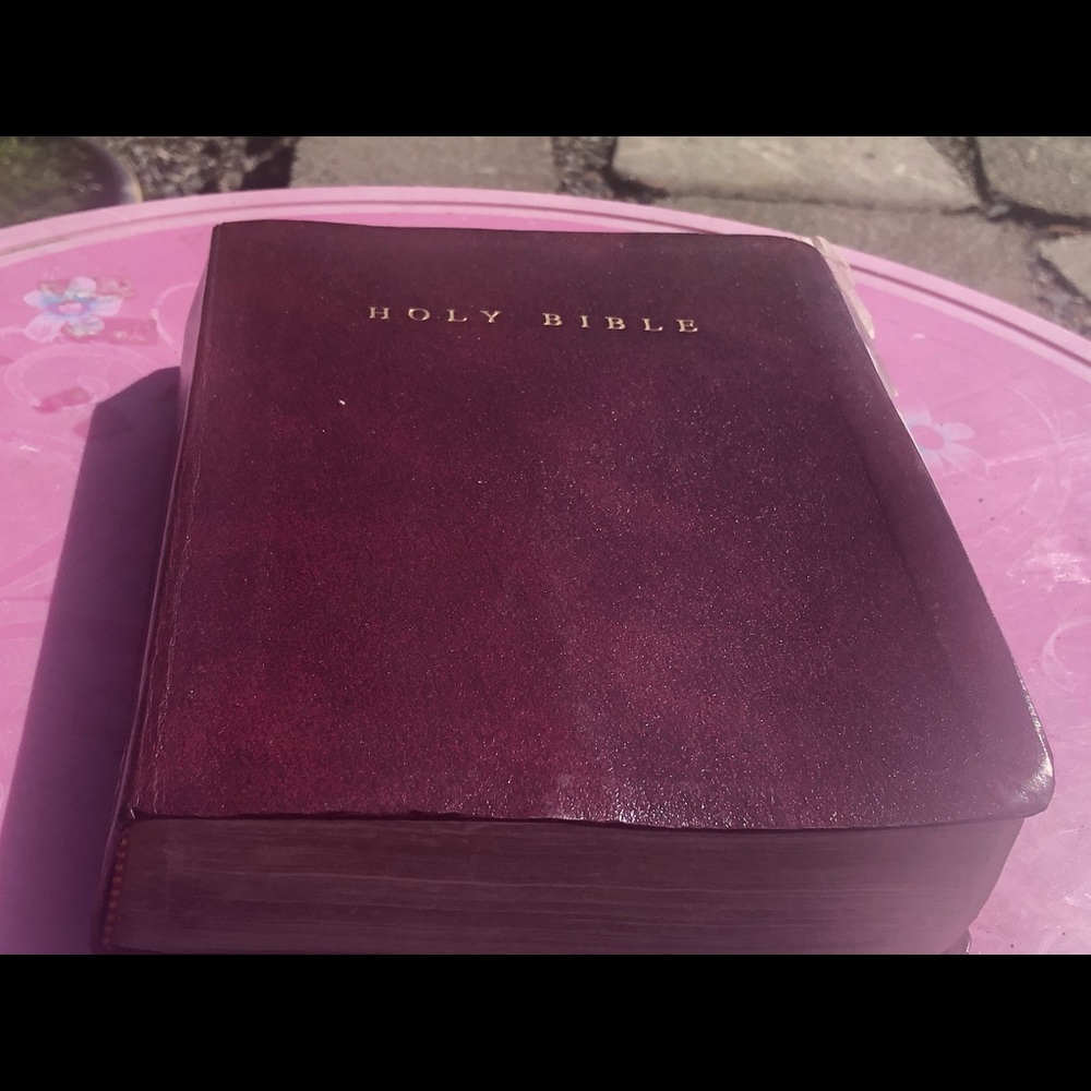 Holy Bible - New International Version  1990